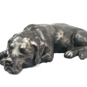 Bronze sleeping Labrador sculpture Sammy lying down in relaxed pose showing peaceful and loyal nature