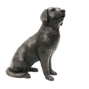 Bronze Labrador sculpture Charlie seated front view showing calm expression and upright relaxed posture